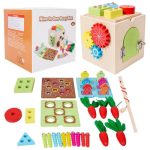 Wooden brain cube 9 in 1